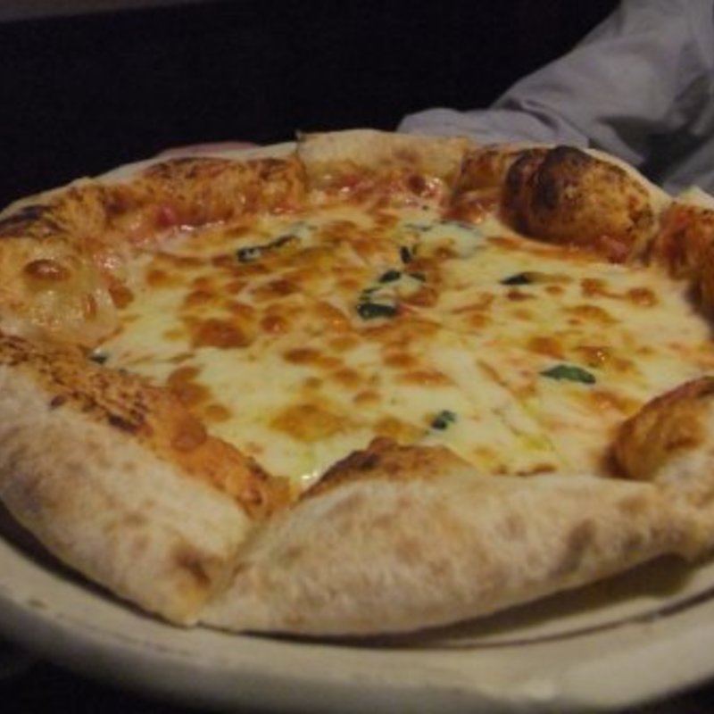 おまかせコース飲み放題付き(八尾炭火焼鳥わっちょい)