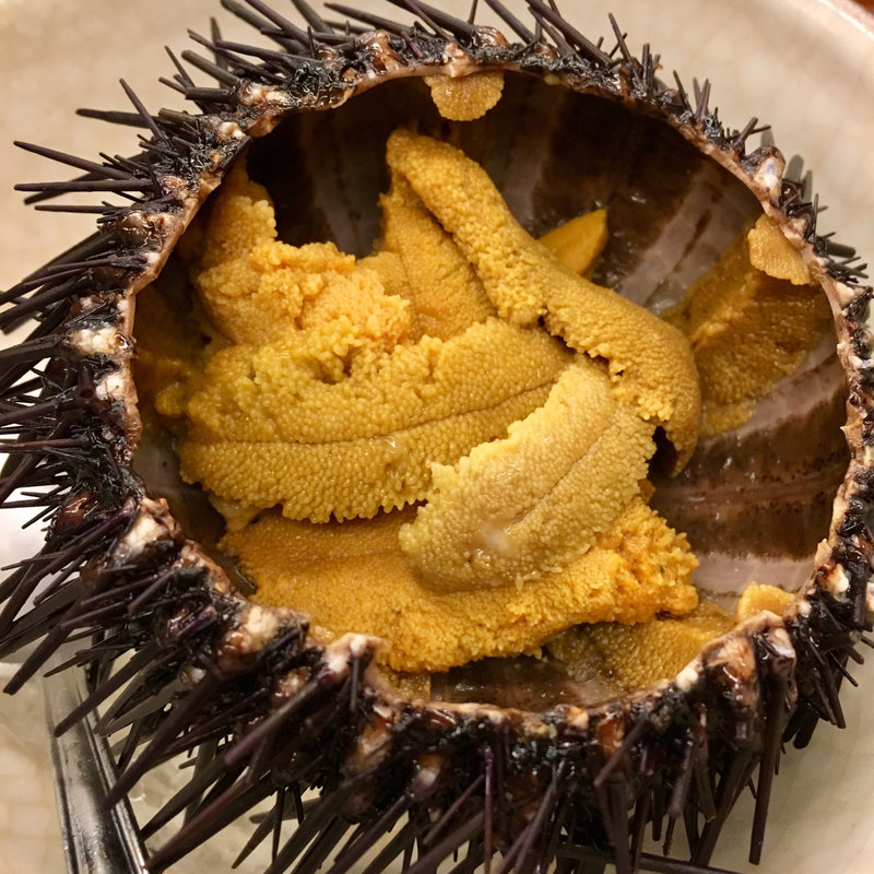 生ウニ(漁火の宿　三浦屋 （ミウラヤ）)