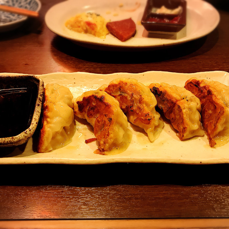 アグー豚大粒肉餃子(草花木果-SokaBokka-)