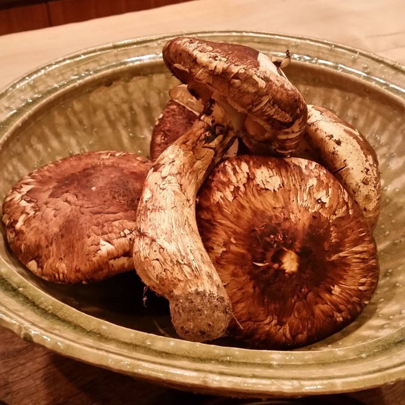 松茸(麻布 幸村)