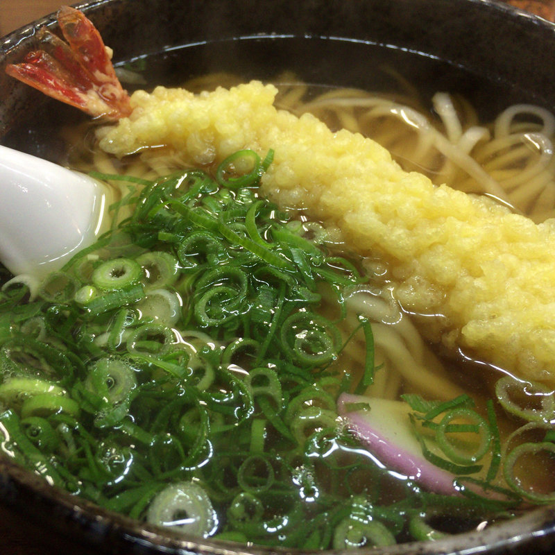 天麩羅うどん(やまびこ 青谷店 )