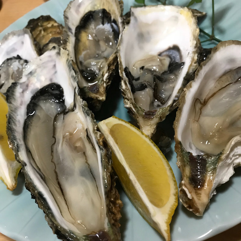 セルガキ(かあさん)