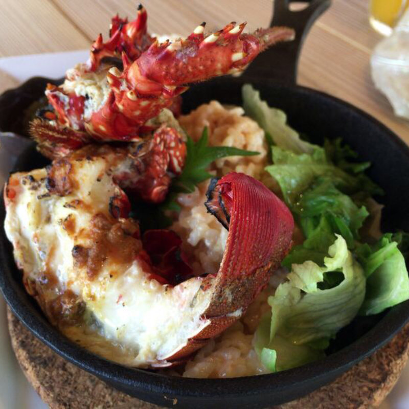 伊勢海老エビみそリゾット(イラヨイ （Irayoi）)