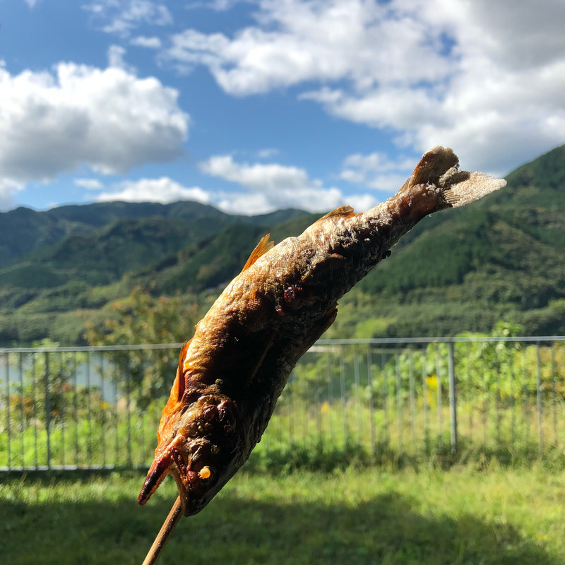 あまご(道の駅 醍醐の里 )