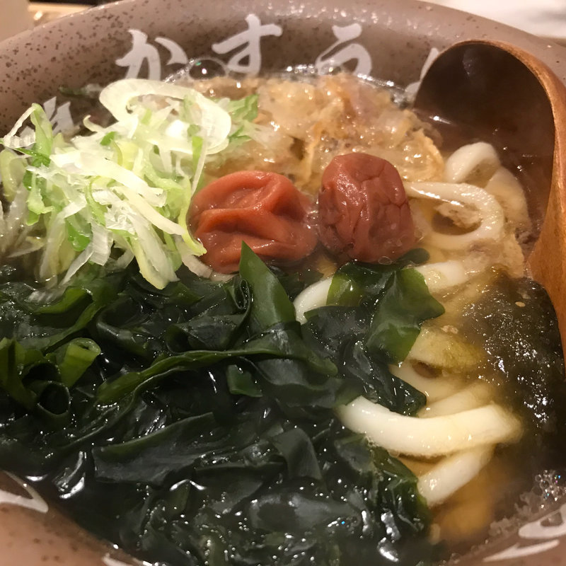 梅わかめかすうどん(焼肉とかすうどん 龍の巣 中洲カドミセ)