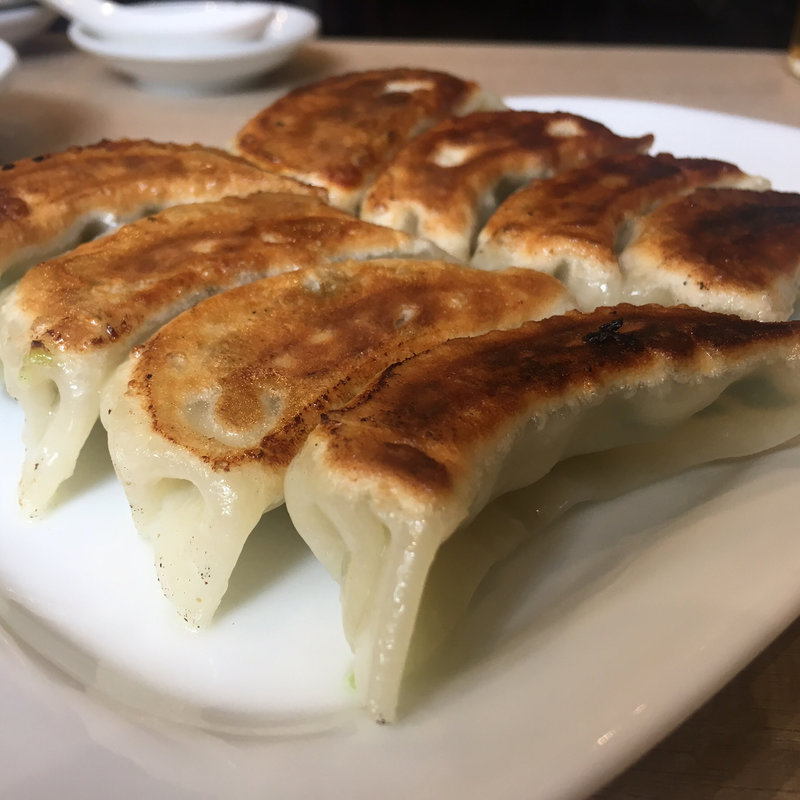 手作り元祖焼き餃子(餃子フジイヤ)