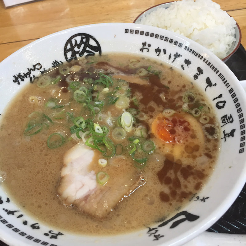 豚骨醤油らーめん(柊 （ひいらぎ）)