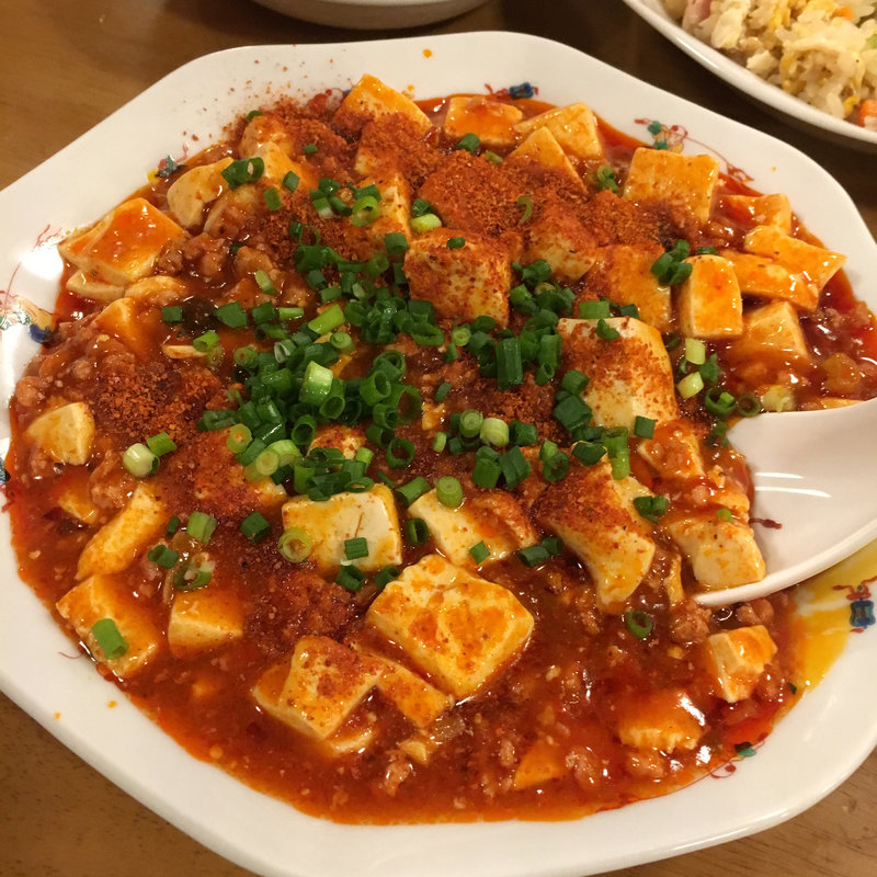 麻婆豆腐(玉林酒家)