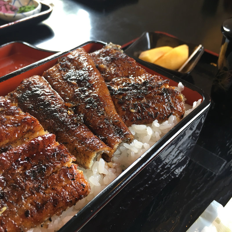 うなぎ丼 かさね二段(大はかや （おおはかや）)