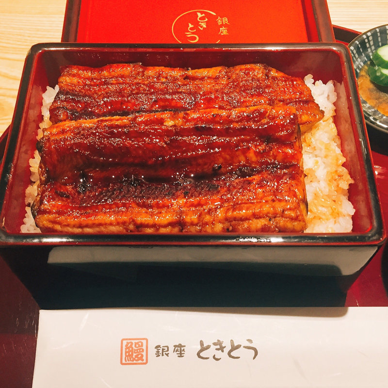 うな重(鰻　銀座　ときとう )