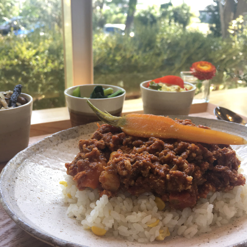 ドライカレー(タンジョウファームキッチン)