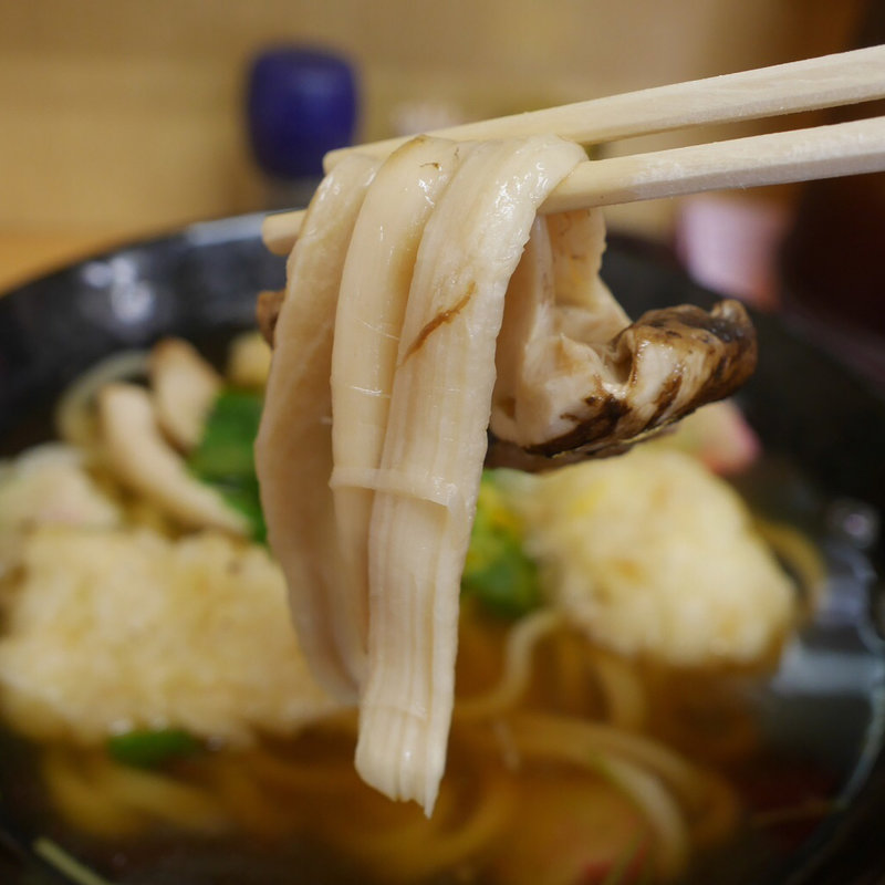 松茸とハモ天の土瓶蒸し風うどん(手打ちうどん 紅屋)