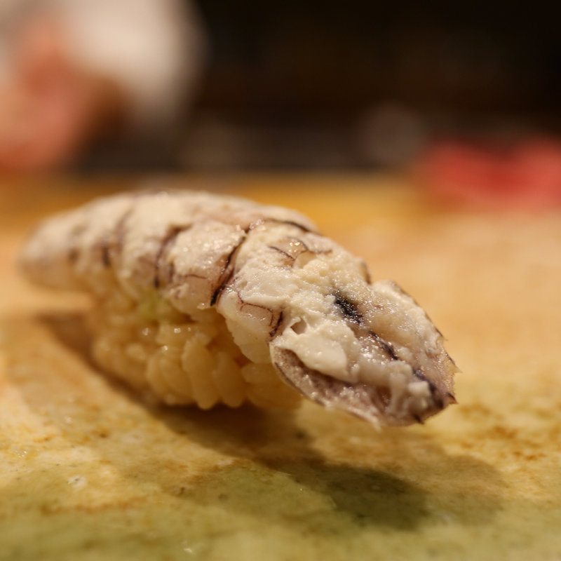 白蝦蛄(東麻布 天本)