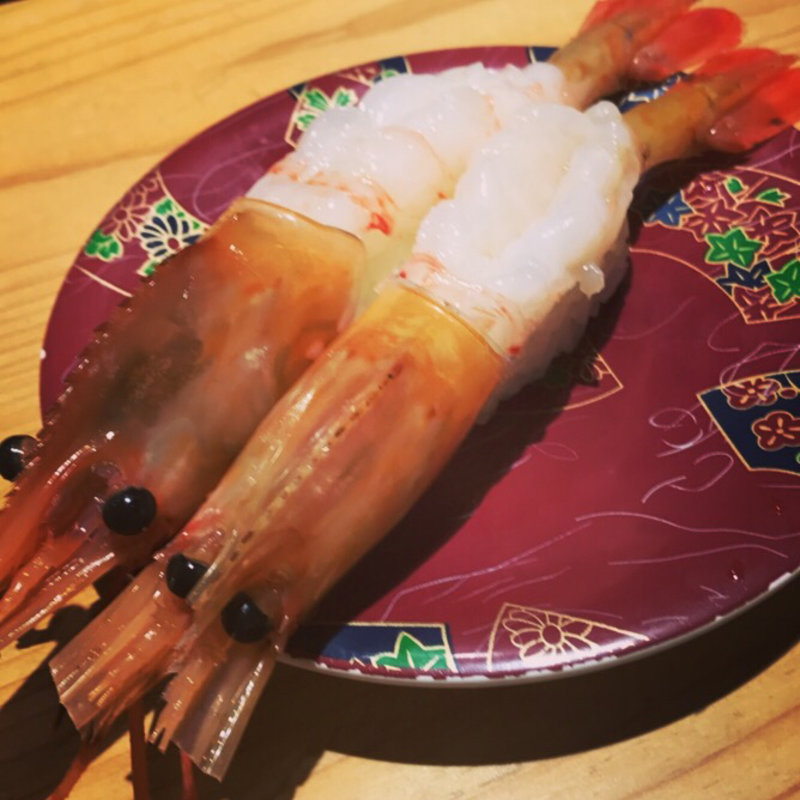 ぼたんえび(根室花まる KITTE丸の内店 )