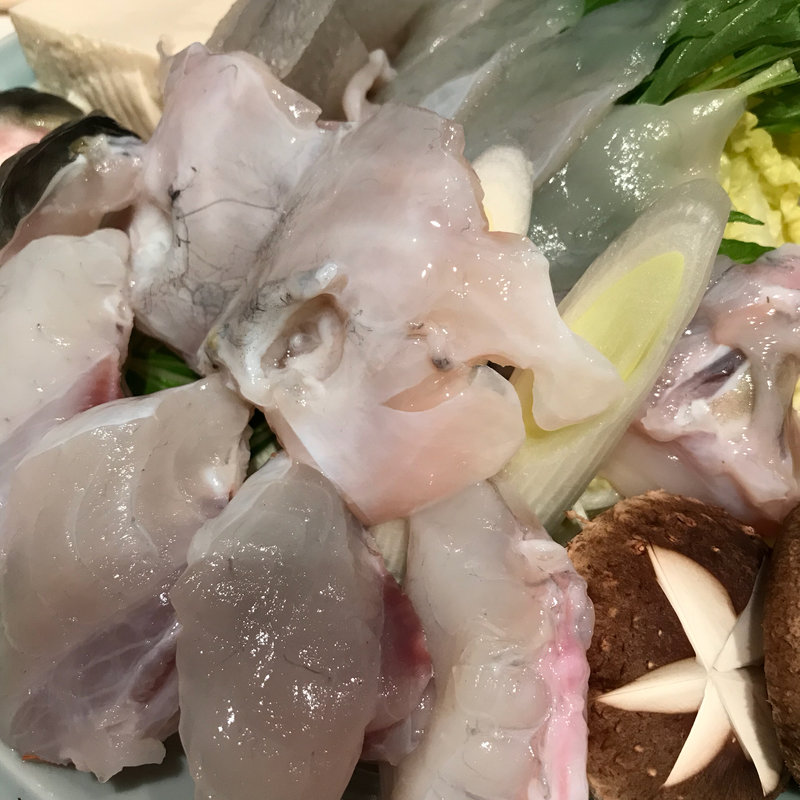 ふぐちり(玄品ふぐ 高槻の関)