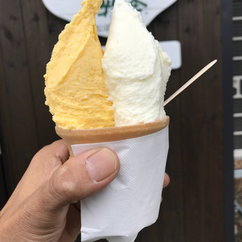 ジェラート アイス(松ぼっくり )