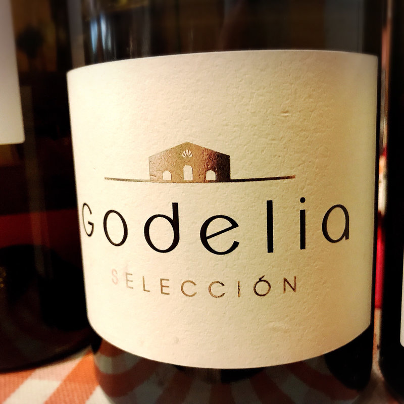 Godelia(サル イ アモール （Sal y Amor）)