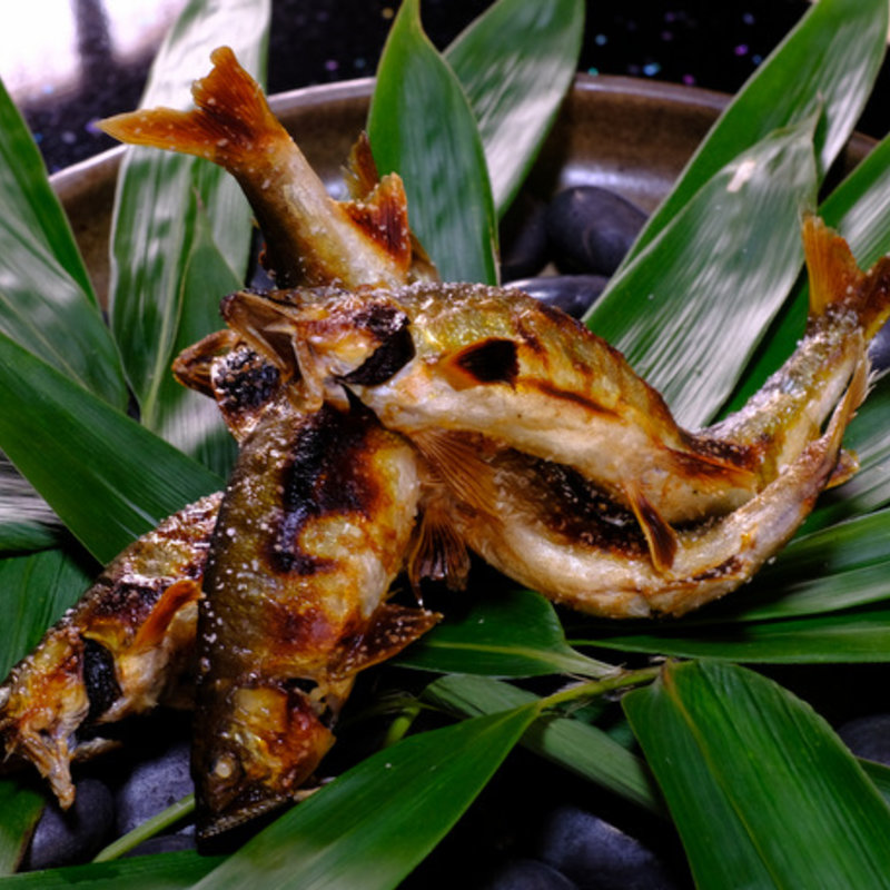 (割烹 美加登家 本店 （みかどや）)