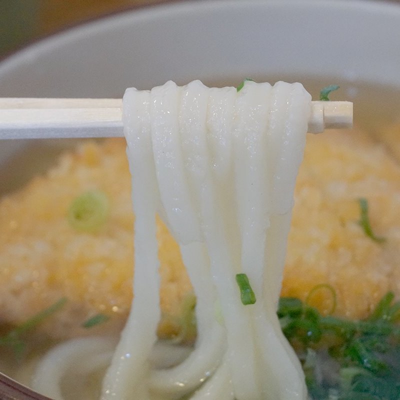 トンカツうどん(本格手打ちうどん・そば処 山岐庵)