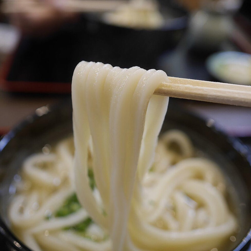 かけうどん(手打ちうどん大蔵)