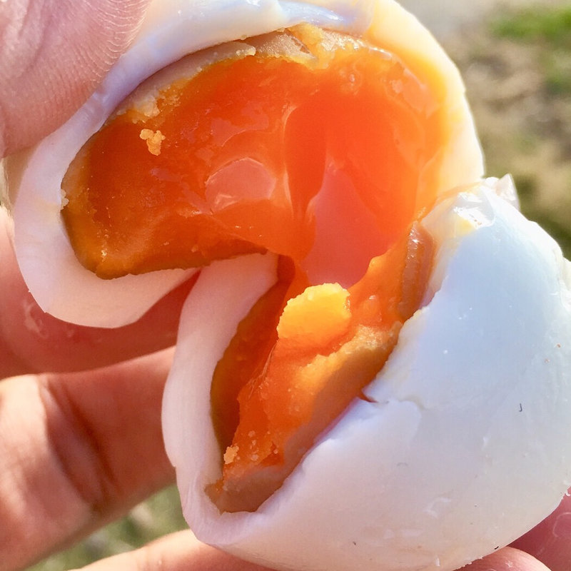 塩釜 ゆで玉子(工房とったん （またいちの塩）)