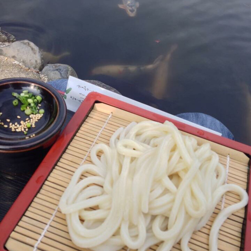 たらいうどん(花園亭 （栗林公園内）)