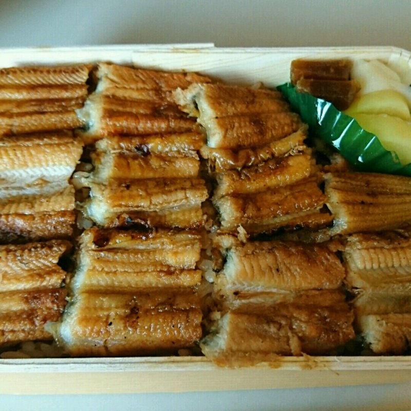 あなごめし弁当(特上)(うえの )