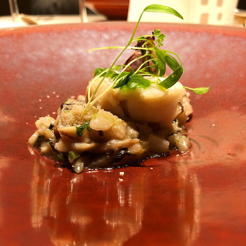 クエ(イル チプレッソ （Il cipresso）)