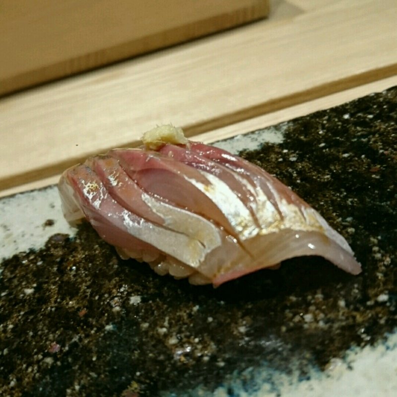 鯵(髙橋 謙太郎 )