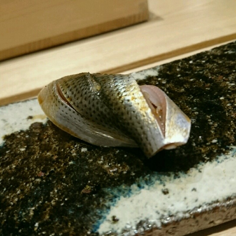 コハダ(髙橋 謙太郎 )