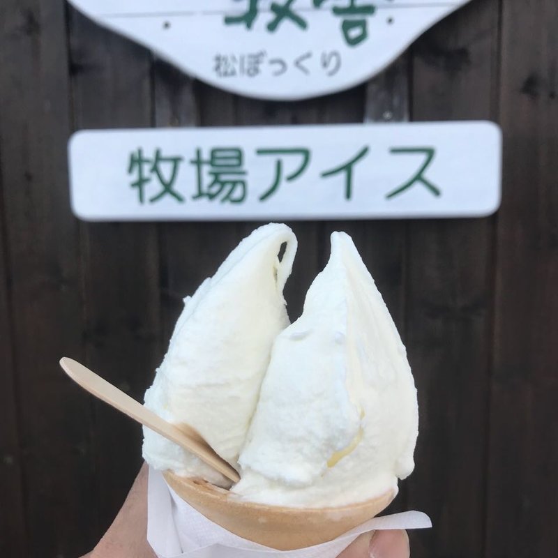 ジェラートアイス(松ぼっくり )