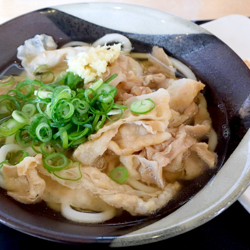 肉うどん(こだわり麺や フジグラン丸亀店 )
