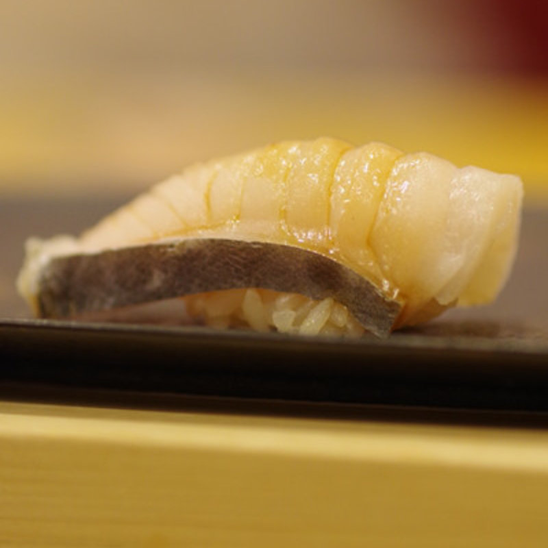 鰆 