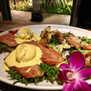 エッグベネディクトベーコンステーキサラダプレート(コナズ珈琲 つくば研究学園店)