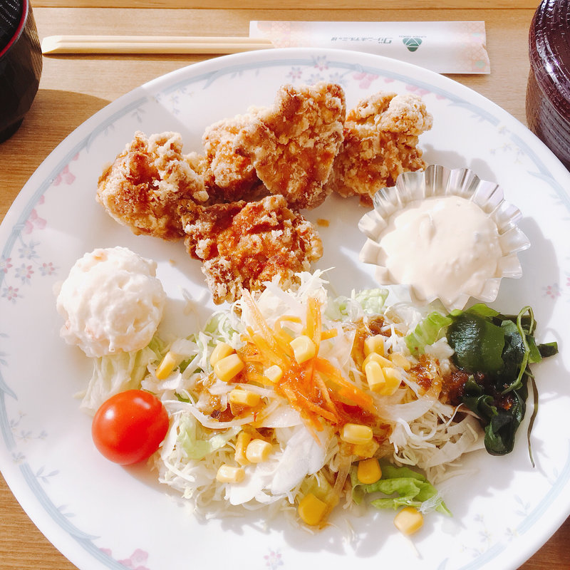 唐揚げ定食(三河湾ヒルズ・ホテル)