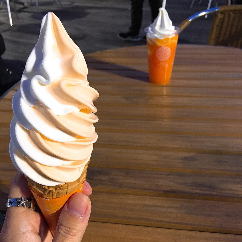 ミックスソフト(とみたメロンハウス@東武百貨店催事場)