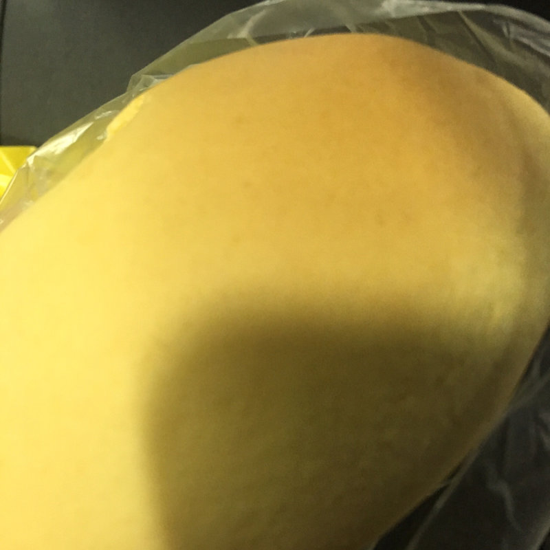 岡崎おうはんクリーム(パンのトラ NEOPASA岡崎店)