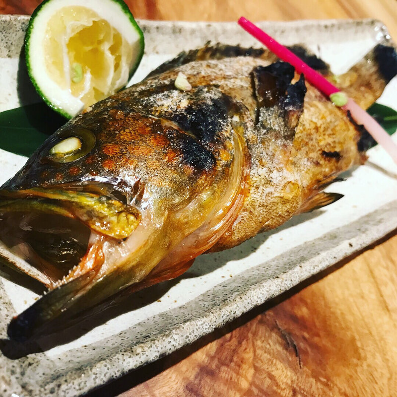 キジハタ（アコウ）塩焼き(ととふく)
