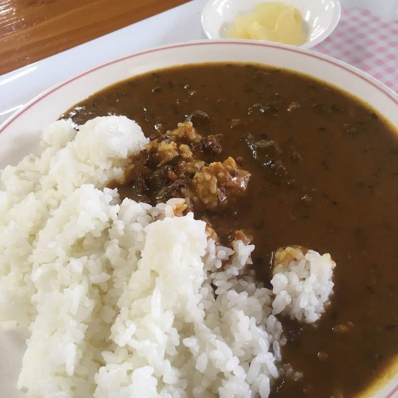 みつばちカレー(藤井養蜂場 ビーズファーム)