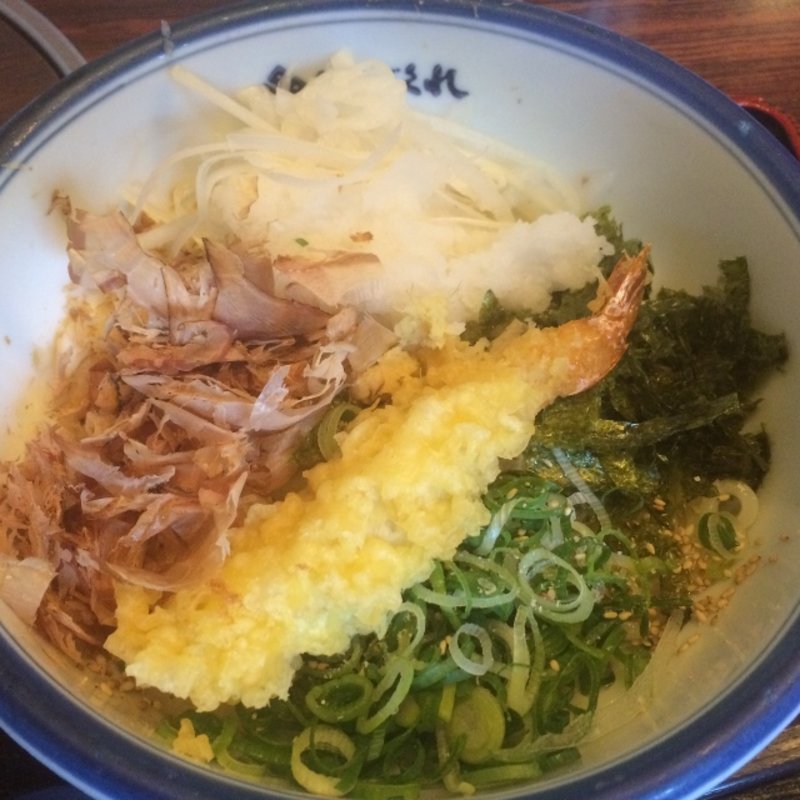 温かい天おろし1.5玉(はがくれ下松店)