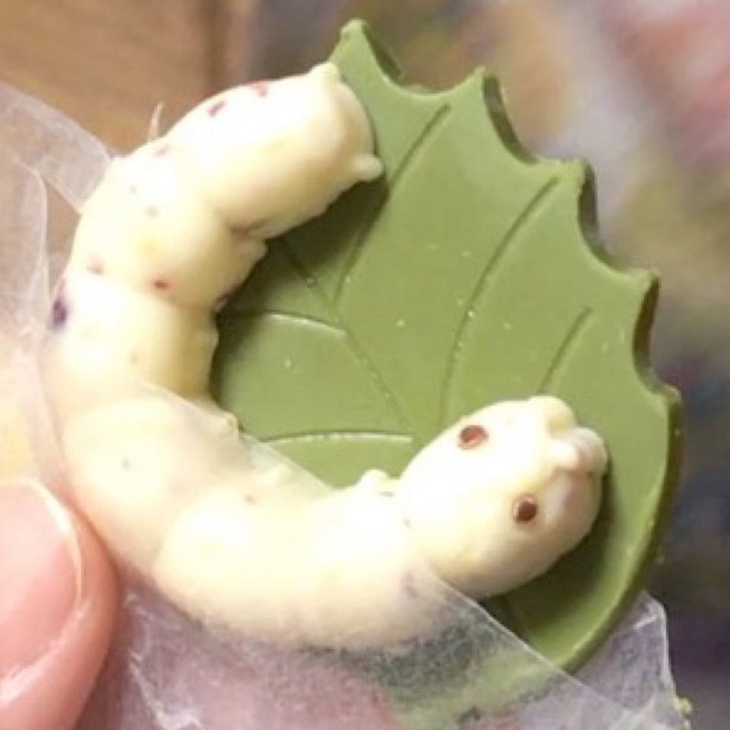 カイコの王国(丸エイ食品)