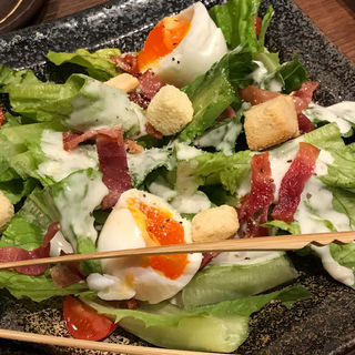 国産ロメインレタスのコク旨シーザーサラダ 山内農場 なんば千日前店 の口コミ一覧 おいしい一皿が集まるグルメコミュニティサービス Sarah