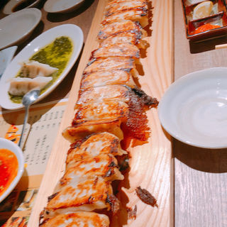 名物 1ヤード餃子 25個(北の餃子酒場 上々)