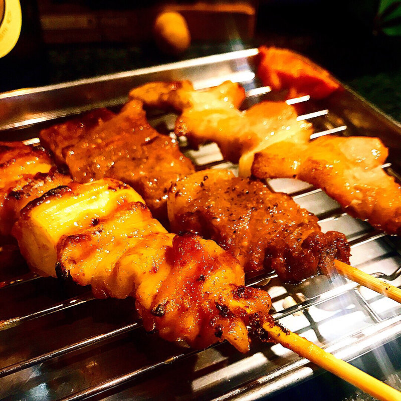 シロ(日馬屋 （ハルマヤ）)