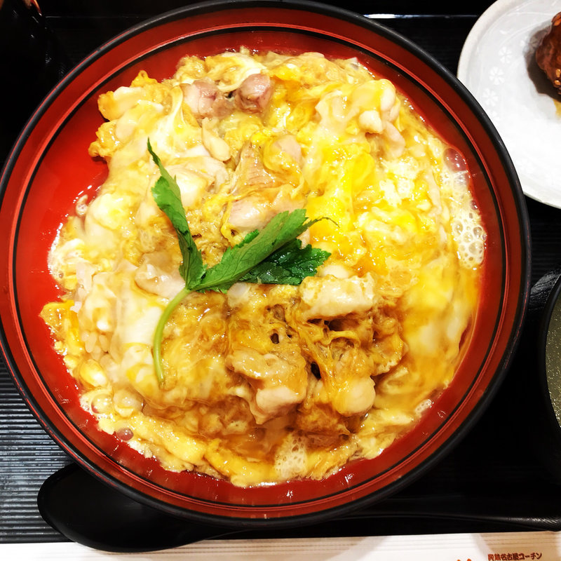 コーチン親子丼(鶏三和 Lucua大阪店)