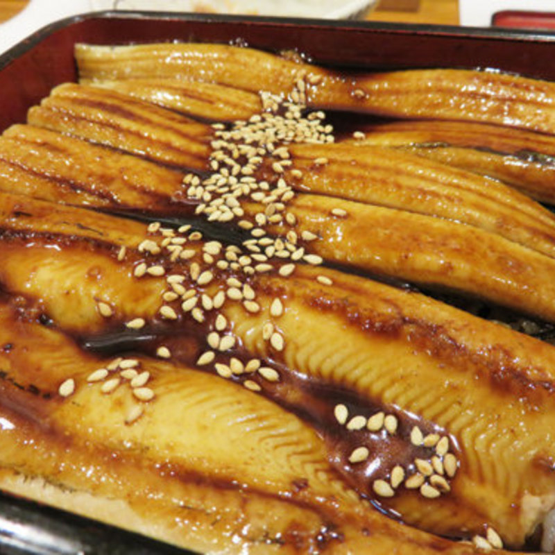 あなご箱めし(別館 すが井)