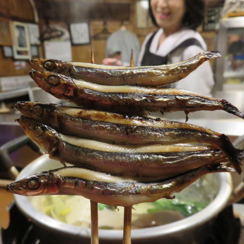 きびなご(湯どうふごん兵衛 )