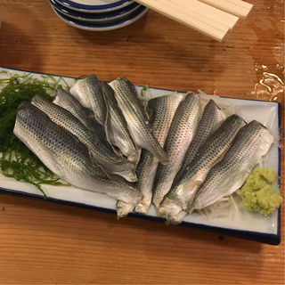 シンコ(魚三酒場 富岡店)