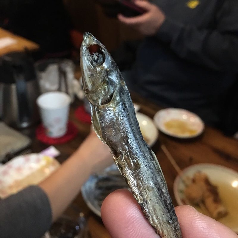 めざし(あいちゃん)