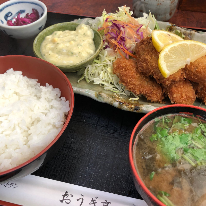 カキフライ定食(おうぎ亭)